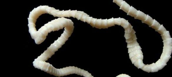 Ταύρος ταινία